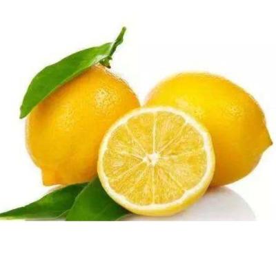 China Fresh High Quality Citrus Count Lime Yellow Dimension And Lime China Fresh Lemons Natural Fresh Lemon for sale