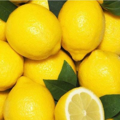 China Lemon homegrown fruit lemons high quality food healthy low price yellow high quality fresh lemon for sale