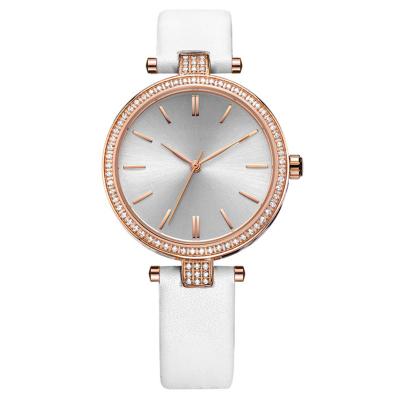 China Periférico auténtico de Multiapplication Diamond Quartz Watch 200m m en venta