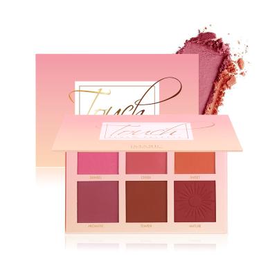 China New Waterproof Raincoats Blush Palette Makeup Private Labels Left for sale