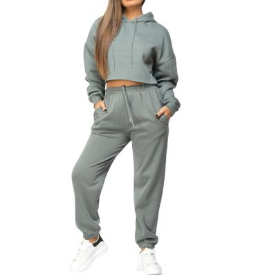 China Fitness Gym Cotton Fleece Breathable Customized Joggers Set Crop Top Single Hoodie Suit Plus Size Cropped Oversized Tracksuit Set For Women for sale