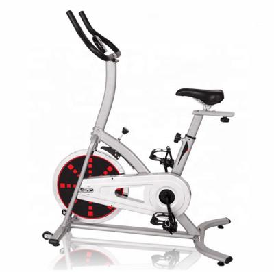 China Universal Home Use Professional Exercise Bike Monitor 13KG Spinning Bike for sale