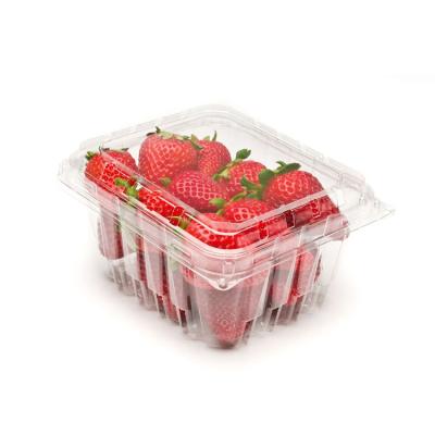 China Recyclable The New Strawberry Biodegradable Disposable Large Capacity Plastic Box for sale