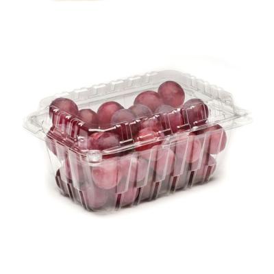 China Recyclable Punnnet Fruit Strawberry Plastic Clamshell With Air Gap And Side Holes For Fresh Fruit Storage And Packaging Boxes for sale