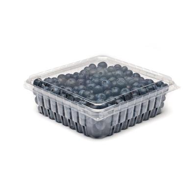 China Wholesale Price Recyclable Disposable Environmental Friendly Transparent Packaging Plastic Box Grape Container for sale