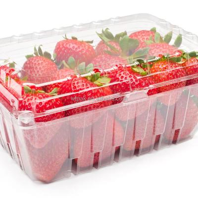 China New Listing Food Packaging Disposable Plastic Food Grade Fruit Salad Container With Lid for sale