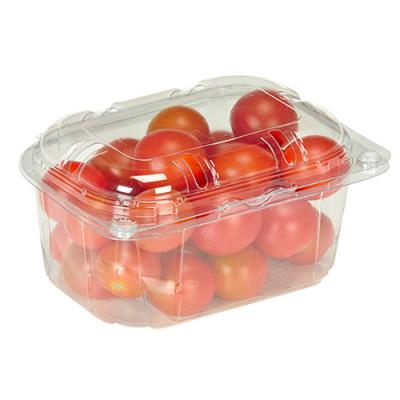 China Recycled Materials 250g Cherry Tomato Strawberry Fruit Packing Hinge Clamshell Container for sale