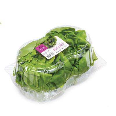 China Recyclable specializing in plastic PET boxes plastic salad making container for sale