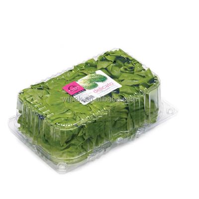 China Environmental Modern Simplicity Eco-Friendly Rectangular Disposable Plastic Food Containers for sale