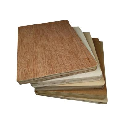 China Modern Hot Sale Full Birch Plywood 5mm Baltic Birch Plywood For Vietnam Market for sale