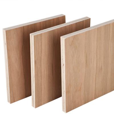 China Modern Okoume/Poplar/Birch Laminated Plywood Shuttering Plywood For Sale for sale