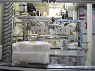 China Gachn technology Baby and adult diaper packaging machine for sale