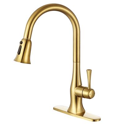 China Modern Single Handle Arc Swept Gold High Pull Out Single Level Kitchen Faucet Brass Kitchen Sink Faucets With Pull Down Sprayer for sale