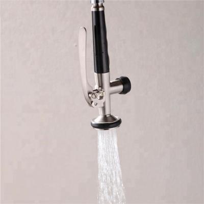 China Modern Brass Kitchen Sprayer Spout Faucet Sink Pull Down Main Spray Spout Shower Replacement Kitchen Faucet Accessories for sale