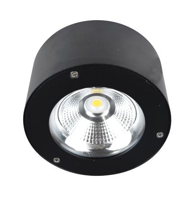 China Various Modern Promotional Goods Using Popular Bedroom Led Lights Ceiling Downlight for sale