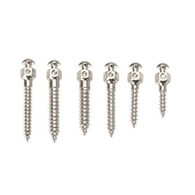 China Orthodontic Micro Dental Implant Screw Dental Expansion Screw Aluminum Titanium Machining Titanium Screw for sale