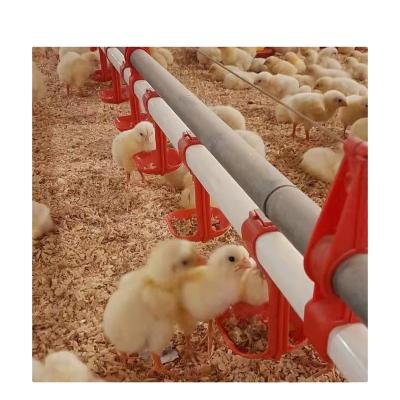 China KEHE Animal Chicken Feeding And Drinking Equipment Easy Cleaning System For Chicken House for sale