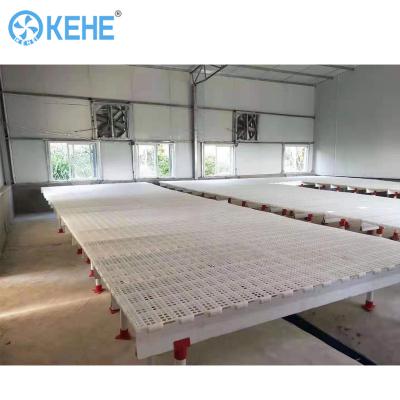 China High Quality Plastic Poultry Farm Poultry Slat Flooring for Broilers House Poultry Slats Chicken Equipment for sale