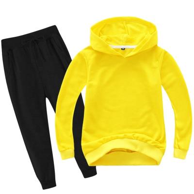 China Custom Anti-Wrinkle Boy Girl Hoodie Printing Custom Hoodies Suitable For Winter And Spring Use Custom Blank Hoodies for sale