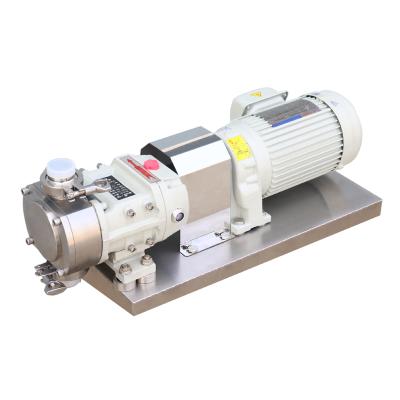 China Other Cangzhou High Viscosity Rotor Pump Resin Heat Insulation Rotor Pump for sale