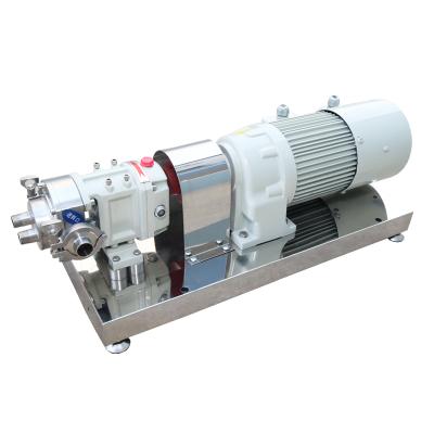 China Other high quality rotor lobe pump 316L material made in China for sale