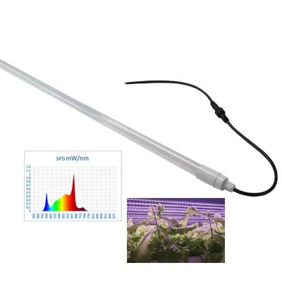 China Seed starting ip65 2.7umol 2.8umol/j 3.0 umol efficiency t8 waterproof led tube led to grow light 5ft / 6ft for sale