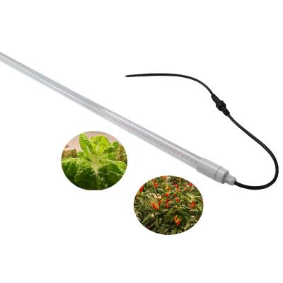 China Seed Starting Hydroponic Greenhouse Plant Growth Lamp Waterproof For Full Spectrum Led Grow Light for sale