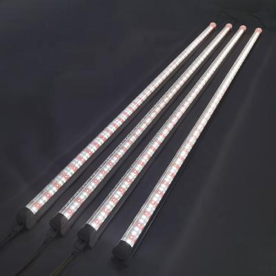 China Seed starting 45 cm warm white smd 5050 12v 50w 3000k full spectrum aquarium led grow strip for sale