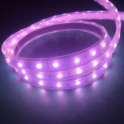 China Seed starting dc12v 24v 2835 full spectrum 5630 warm white led to grow strip tape for sale