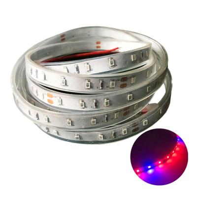 China Seed starting ip67 smd 2835 spectrum 5630 led to grow hydroponic strip strawberry plant light for sale