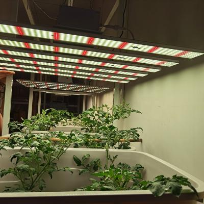 China Seed starting 2020 1000 watt 1000w high power custom vertical led to grow light bar indoor plants spectrum for sale