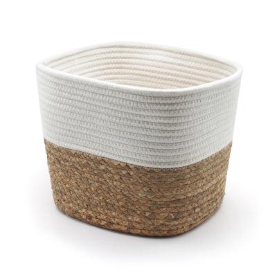 China Sustainable Nordic White Cotton Rope Woven Storage Basket With Natural Water Hyacinth Grass for sale