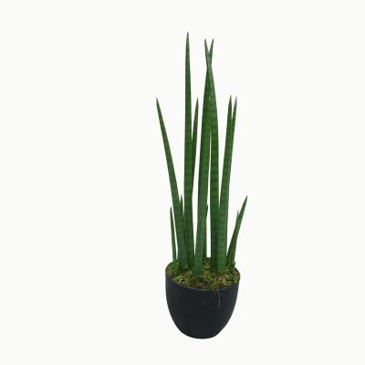 China Durable Artificial Artificial Snake Plants Yellow Balanced Plastic Plants For Home Decor And Parties for sale