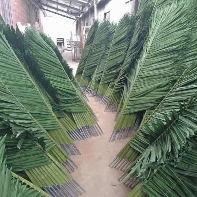 China Lifelike 1.5m-3.4m UV proof quality artificial palm tree leaves/Coconut leaf phoenix or round shape for sale