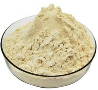 China High Quality Natural Plant Protein Isolated Soy Protein Powder 95 Min for sale