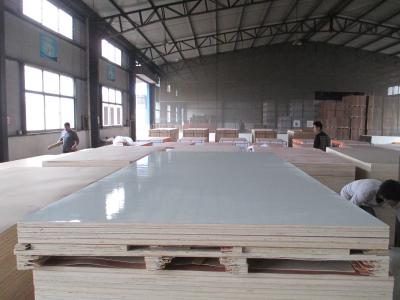 China First-Class Grade and E1 Formaldehyde Emission Standards white HPL faced plywood sheet for sale