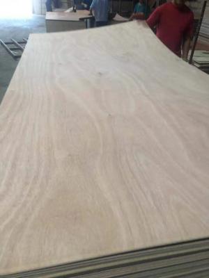 China wholesale 3.5mm 5.5mm 6.5mm 8.5mm best price commercial plywood for sale