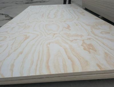 China plywood pine fancy plywood 18mm from SHOUGUANG QIHANG INTERNATIONAL TRADE CO.,LTD for sale