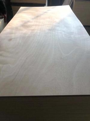 China 18mm Okoume Commercial Plywood Sheets/Bintangor Veneer Fancy plywood for sale