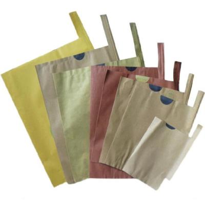 China Eco - Friendly Paper Fruit Protection Bags For All Kinds Of Fruit Plant for sale