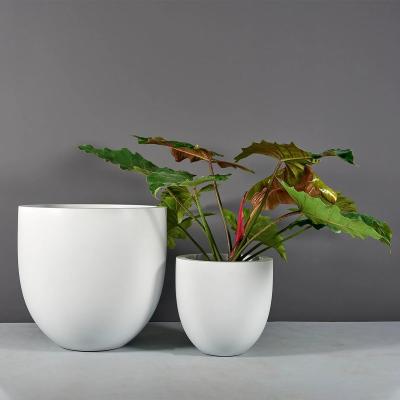 China Kleuterkamer glasvezel hars bloempot Set voor sappige tuin Home Decor Te koop