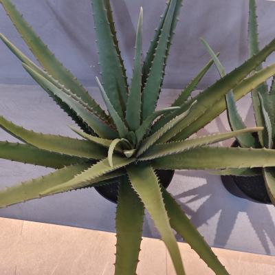 China Lifelike Plastic Aloe Plant Indoor Outdoor Artificial Aloe Vera Faux Greenery Decoration for sale