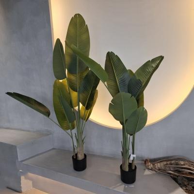 China Realistic Indoor Banana Tree For Home And Office Decor Long Lasting Low Maintenance for sale