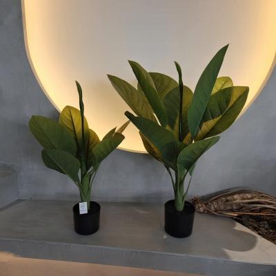 China Long Lasting Plastic Material Artificial Plants 70cm Artificial Dieffenbachia Tree for sale