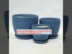 Shop the Best Selection of Ceramic Pots for Your Plants at Affordable Prices