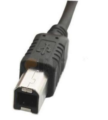 China A Male to B Male USB Data Transfer Cable 480Mbps for Printers Scanners for sale