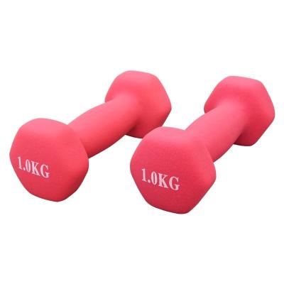 China Comfortable Gym Dumbbell Set Solid Cast Iron Fitness Equipment Weight Training 1kg 5kg 10kg Hexagonal Neoprene Coated Rubber Hex Dumbbell for sale