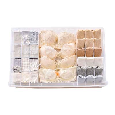 China Viable Plastic Storage Box Underwear Passage Cabinet Minimalism Bra Socks Moisture-Proof Storage Box for sale