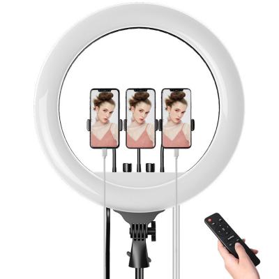 China 14 Inch PORTABLE Selfie LED Ring Light Live Streaming Youtube Video Atmosphere Fill Light with 3 Movable Clips for sale