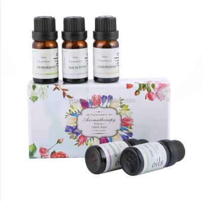 China Oil for Diffuser Essential Oils Diffuser Lemongrass Eucalyptus Lemongrass Peppermint Aroma Diffuser Oil 5 Bottles x 10ml Perfumes for sale